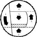 
When stems, supported on one end, are thicker than guide bar length, cut in this sequence.
